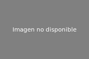 [Retrato o imagen de San Vitores]
